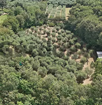Foto annuncio 23