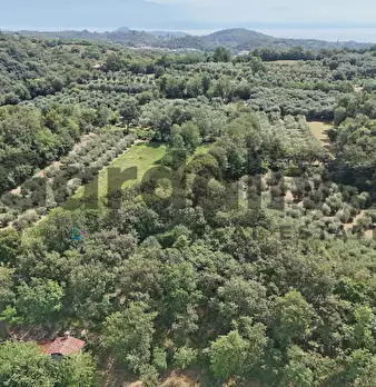 Foto annuncio 24