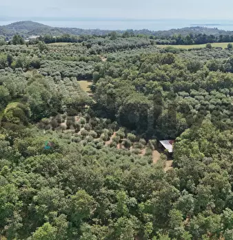Foto annuncio 25