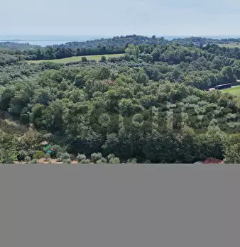 Foto annuncio 29