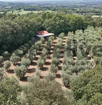 Foto annuncio 32