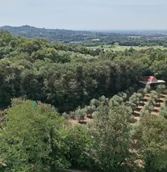 Foto annuncio 34