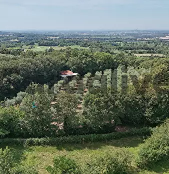 Foto annuncio 36