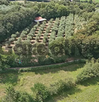 Foto annuncio 38