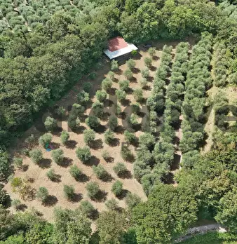 Foto annuncio 39