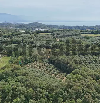 Foto annuncio 43