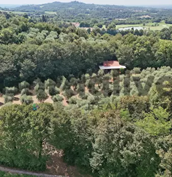 Foto annuncio 49