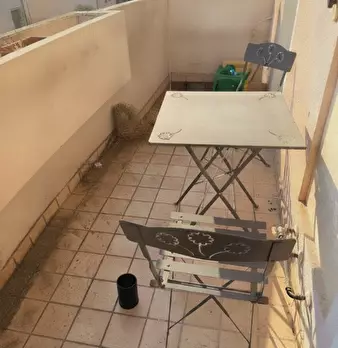 Foto annuncio 10