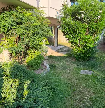 Foto annuncio 31