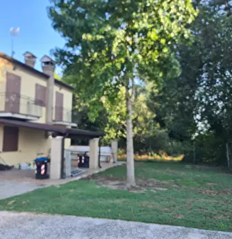 Foto annuncio 2