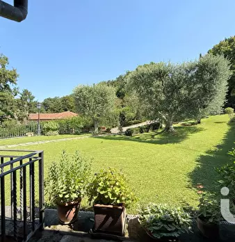 Foto annuncio 37
