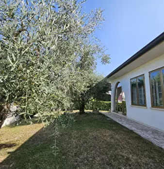 Foto annuncio 11