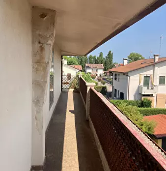 Foto annuncio 14