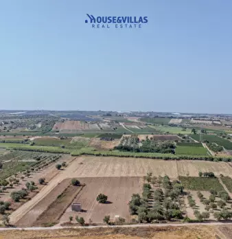 Foto annuncio 11
