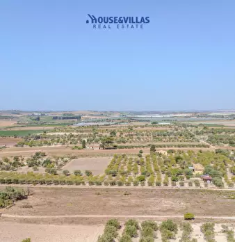 Foto annuncio 12