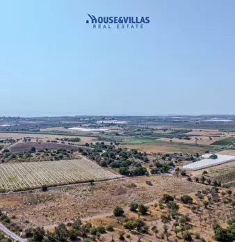 Foto annuncio 13
