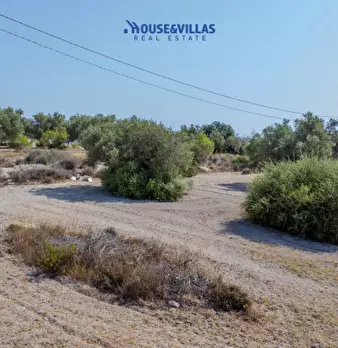 Foto annuncio 14