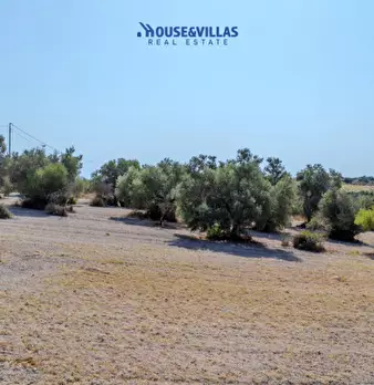 Foto annuncio 15