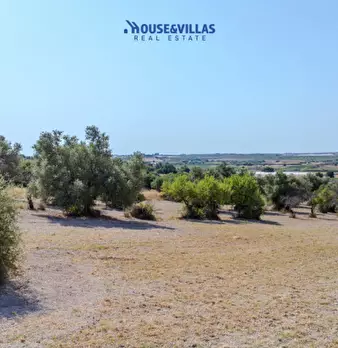 Foto annuncio 16