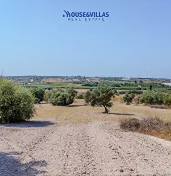 Foto annuncio 17
