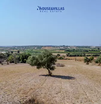 Foto annuncio 20
