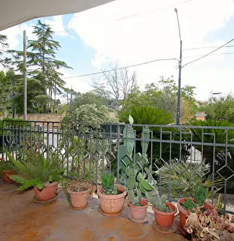 Foto annuncio 9