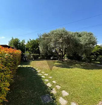 Foto annuncio 19