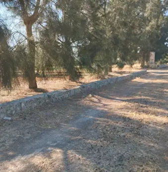 Foto annuncio 4