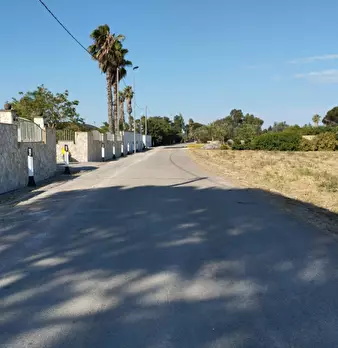 Foto annuncio 5