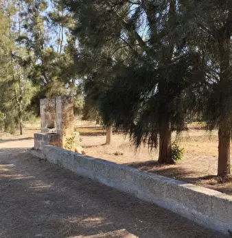 Foto annuncio 6