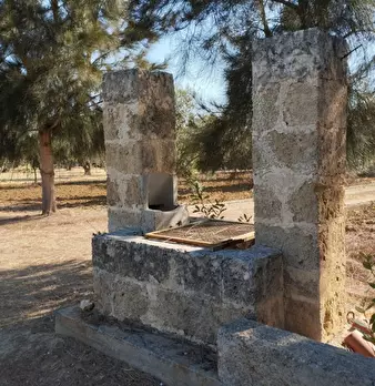 Foto annuncio 9