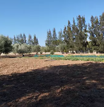 Foto annuncio 12