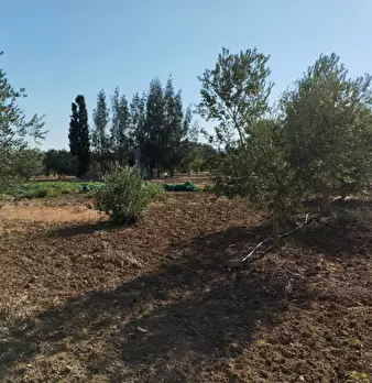 Foto annuncio 13