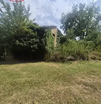 Foto annuncio 4
