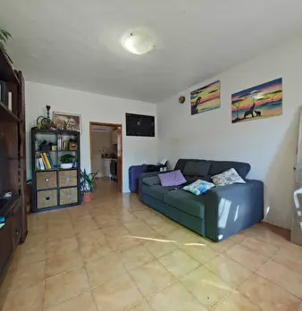 Foto annuncio 7