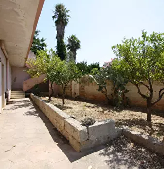 Foto annuncio 32