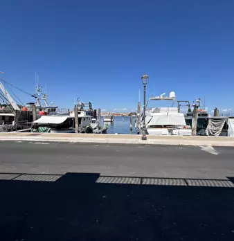 Foto annuncio 8