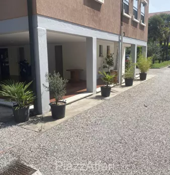 Foto annuncio 7