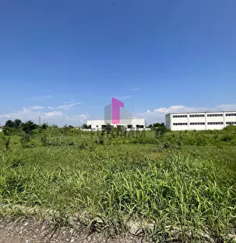 Foto annuncio 22