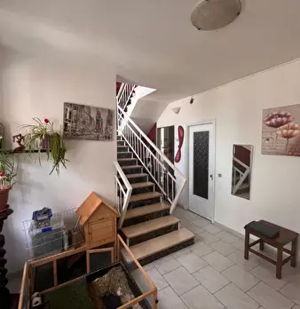 Foto annuncio 9