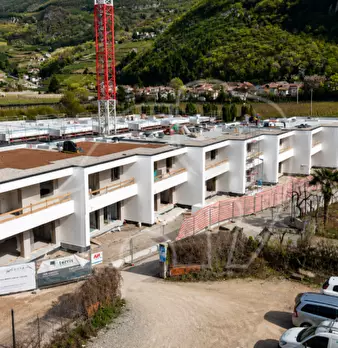 Foto annuncio 6