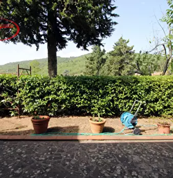Foto annuncio 2