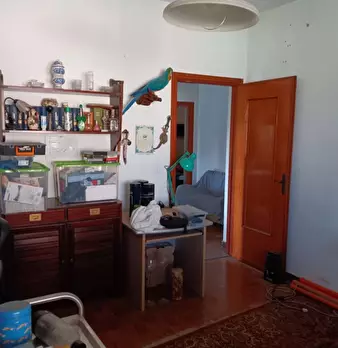 Foto annuncio 12