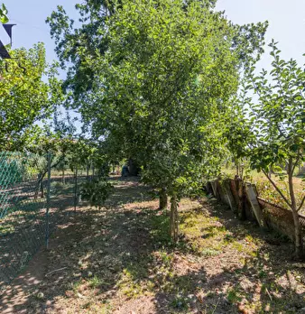 Foto annuncio 42