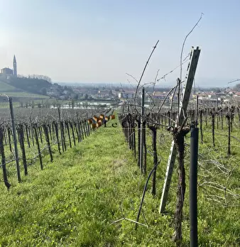 Foto annuncio 8