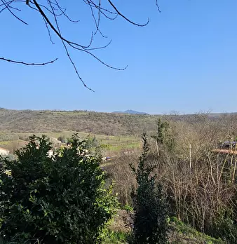 Foto annuncio 17