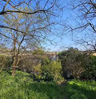 Foto annuncio 23