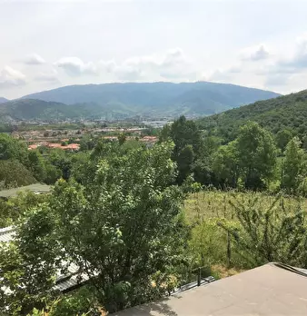 Foto annuncio 6