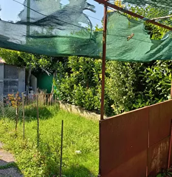 Foto annuncio 34