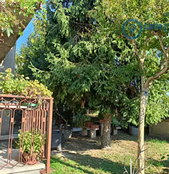 Foto annuncio 48